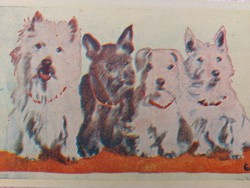Régi képeslap művészrajz levelezőlap kutyák