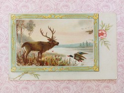 Old postcard postcard landscape with deer wild duck