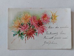 Régi virágos képeslap levelezőlap őszirózsa krizantém