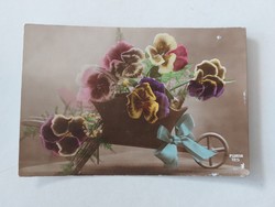 Régi virágos képeslap levelezőlap árvácska talicskában