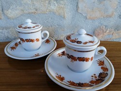 Zsolnay mokkás / kávés csésze melegentartó tetővel és kistányérral _ hotel porcelán