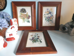 Price/each old French botanical illustration, print, lithography, pansy in a thick wooden frame