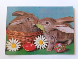 Retro húsvéti képeslap 1978 nyuszi fotó levelezőlap