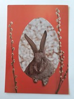 Retro húsvéti képeslap 1981 nyuszi fotó levelezőlap