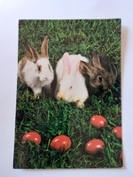 Retro húsvéti képeslap nyuszi fotó levelezőlap