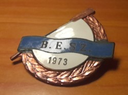 Budapest Rowing Association 1973 badge. There is mail!