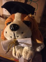 Plush dog, graduation mascot figure