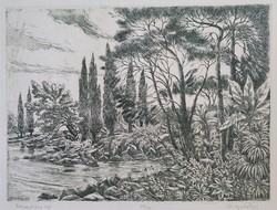 Varga Mátyás: Romantikus táj