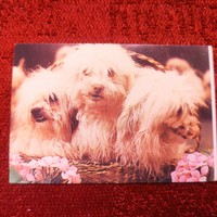 Russian card calendar 1982