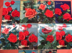 10 db térhatású régi francia képeslap, hologramos, 1962-1974, rózsás, tulipános