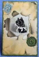 Antik dombornyomott  üdvözlő litho képeslap cica portré átszakadt pecsétes pergamen