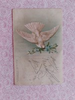Régi képeslap 1899 levelezőlap galamb nefelejcs motívum