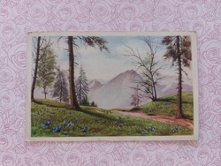 Régi képeslap 1950 művészeti levelezőlap tájkép erdő hegyek