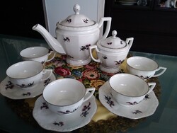 Zsolnay pajzspecsétes porcelán teás készlet az"Éva" sorozatból, ritka mintával!