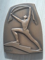 To commemorate the 20th anniversary of the establishment of the councils, 1970 district council bronze commemorative medal