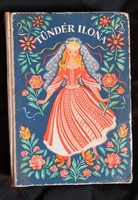Fairy tales of Ilona the fairy v. Book