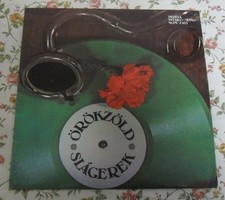 Evergreen hits vinyl big record. 1976 edition