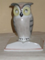 Aquincumi is a very rare owl