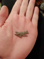 Luftwaffe Stuka kitűző
