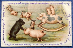 Antik  üdvözlő litho képeslap vidáman játszó malacok