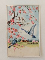 Régi képeslap levelezőlap tavaszi tájkép galambok