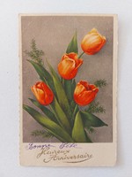 Régi virágos képeslap levelezőlap tulipán