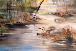 Nemes Tibor (1955-): Tavi táj kacsával - akvarell (34x49 cm) - szentendrei festő