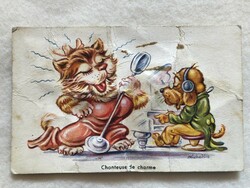 Antik, régi, sípolós grafikus képeslap -  Zongorázó kutya, éneklő cica                -5.