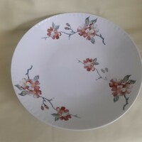 Antik! Porcelán mély tányér, kézzel festett, vadrózsa virágos mintával