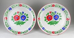 1M410 large floral lowland wall plate in a pair, 28 cm