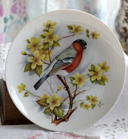 Madaras, madár mintás porcelán tányér, fali tányér, dísztányér, Kaiser porcelán
