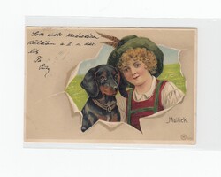 Üdvözlő képeslap kutyusok 1908 K:02 hosszúcímzéses