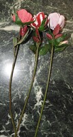 Tulipán csokor - három szálas - horgolt fejjel