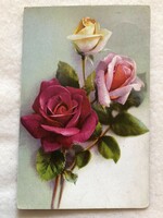 Antik, régi Rózsa virágos képeslap                                       -5.