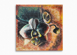 Hollóházi: Hidden acrylic painting, orchid, canvas 24x24 cm