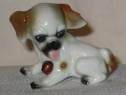 Old waiter dog from Sitzendorf with a ball