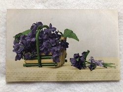 Antik, régi Ibolya virágos képeslap - Postatiszta                                 -5.