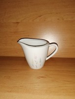 Seltmann Weiden Bavaria porcelán kiöntő 7 cm (9/K)