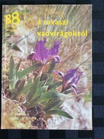 88 Color pages about spring wildflowers