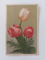 Old floral postcard postcard tulip