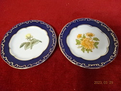 Zsolnay porcelain pompadour small plate 3, feathered, two pieces. Jokai.