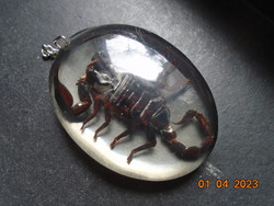 Real scorpion in resin on a chain, key ring ornament