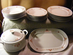 6 Personal 20-piece tableware set with rosehip pattern