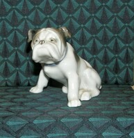 Bulldog kutya figura - Metzler & Ortloff porcelán