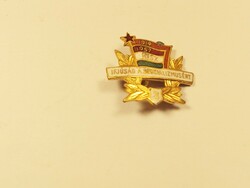 Youth for Socialism 1919 1957 small 3rd place badge pin