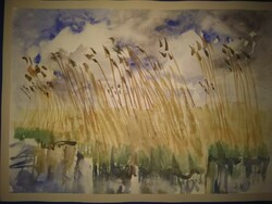 Watercolor by Vilma Somlai. Balaton reeds