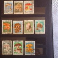 Complete mushroom stamp set -Romania 1958