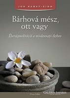 Bárhová mész, ott vagy - Éberségmeditáció a mindennapi életben