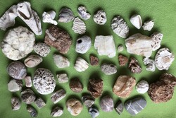Ásványok, kövek, fosszíliák