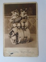 D194945 postcard - 1910-20's cat band card in very bad condition
